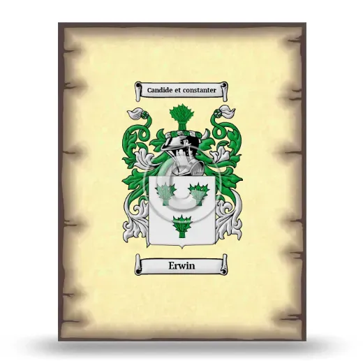 Erwin Coat of Arms Print