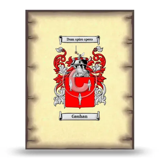 Gauhan Coat of Arms Print