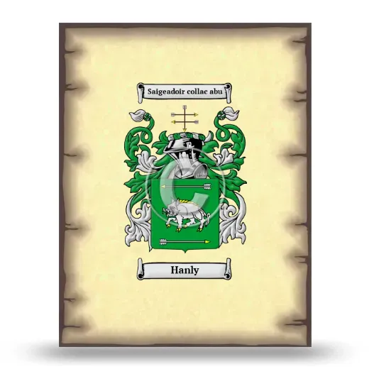 Hanly Coat of Arms Print