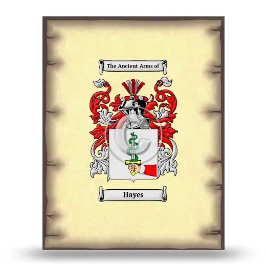 Hayes Coat of Arms Print