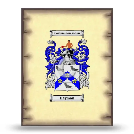 Hayman Coat of Arms Print