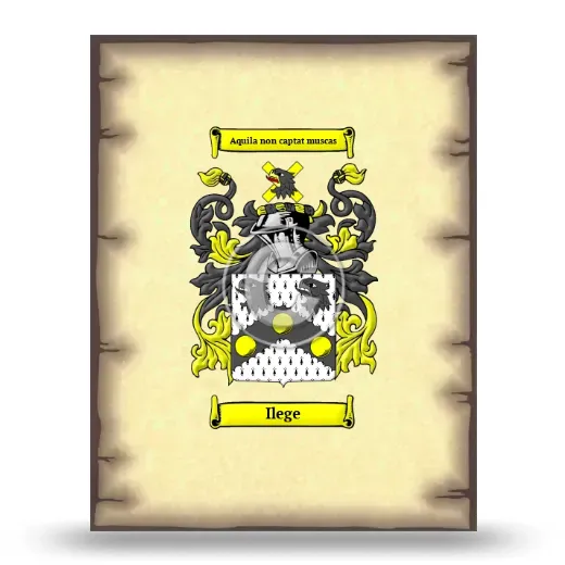 Ilege Coat of Arms Print