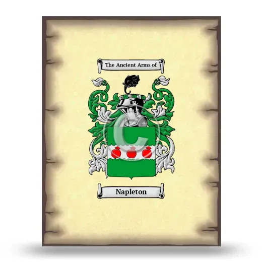 Napleton Coat of Arms Print