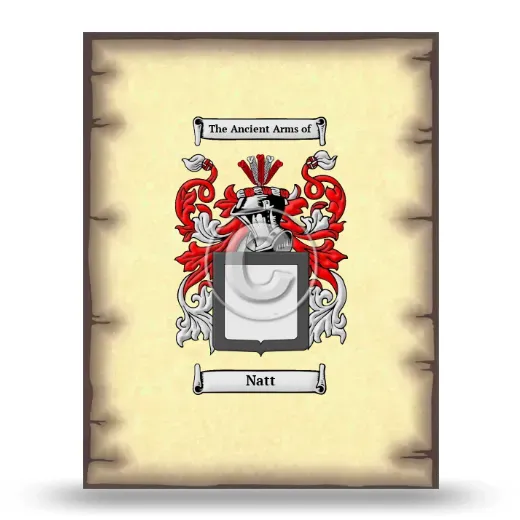 Natt Coat of Arms Print