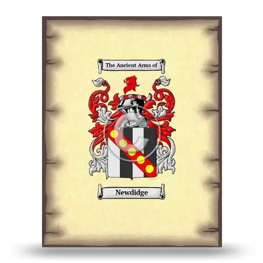 Newdidge Coat of Arms Print