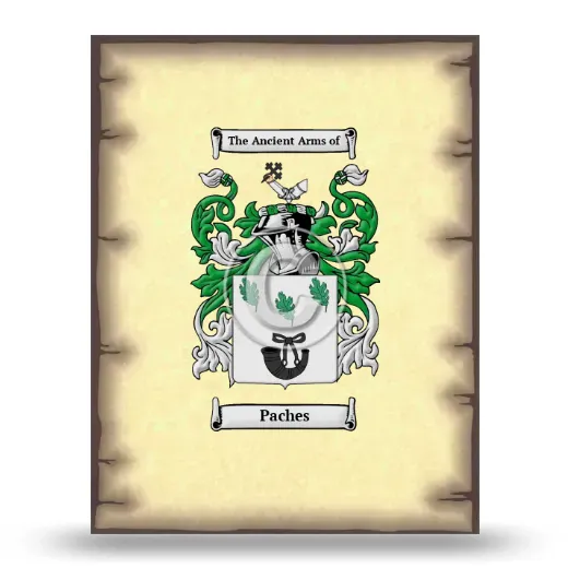 Paches Coat of Arms Print
