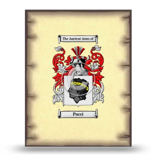 Pucci Coat of Arms Print