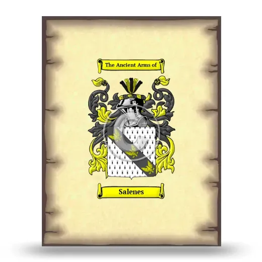 Salenes Coat of Arms Print