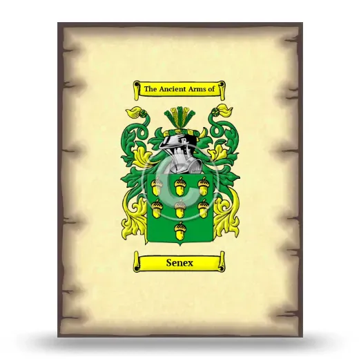 Senex Coat of Arms Print