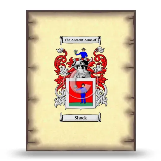 Shock Coat of Arms Print
