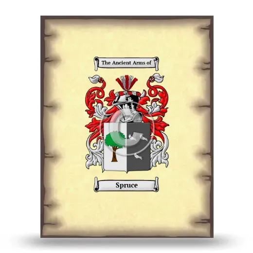 Spruce Coat of Arms Print