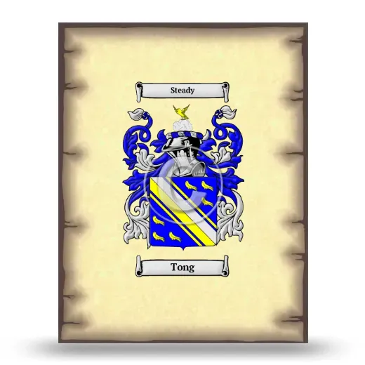 Tong Coat of Arms Print