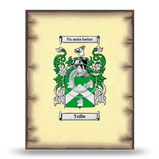 Tullie Coat of Arms Print