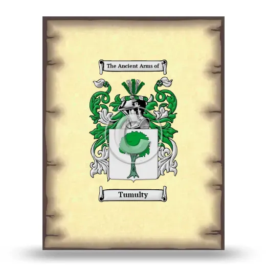 Tumulty Coat of Arms Print