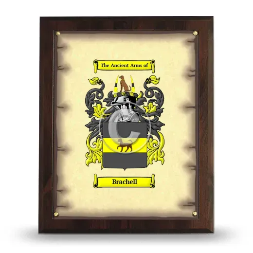 Brachell Coat of Arms Plaque