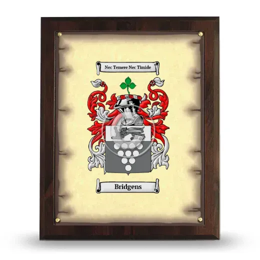 Bridgens Coat of Arms Plaque