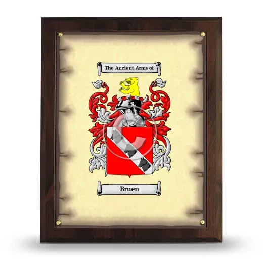 Bruen Coat of Arms Plaque