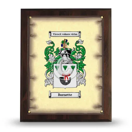 Burnette Coat of Arms Plaque