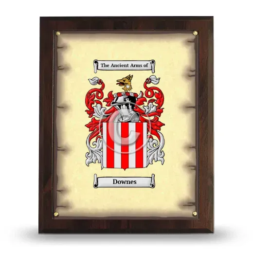 Downes Coat of Arms Plaque