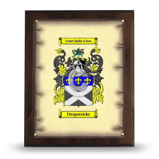 Fitzpatricks Coat of Arms Plaque