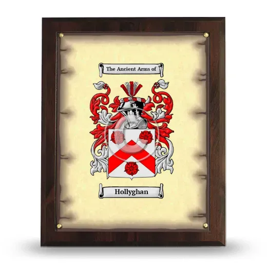 Hollyghan Coat of Arms Plaque