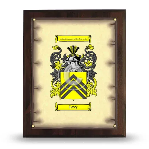Levy Coat of Arms Plaque