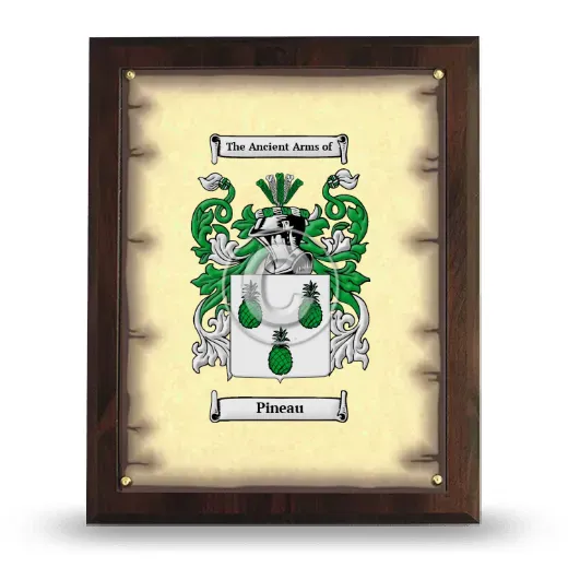 Pineau Coat of Arms Plaque