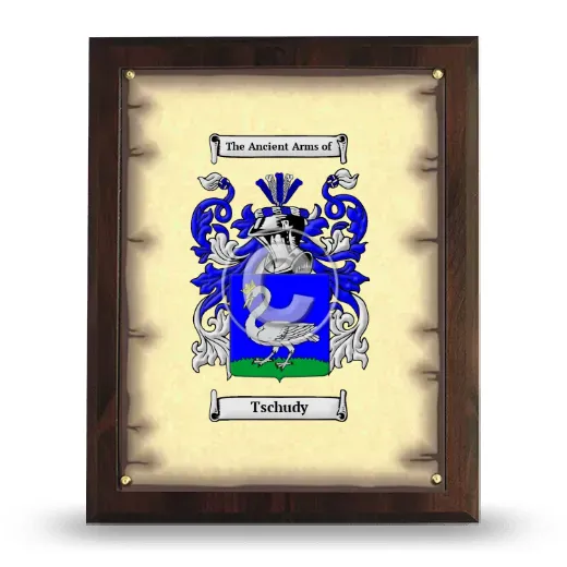 Tschudy Coat of Arms Plaque