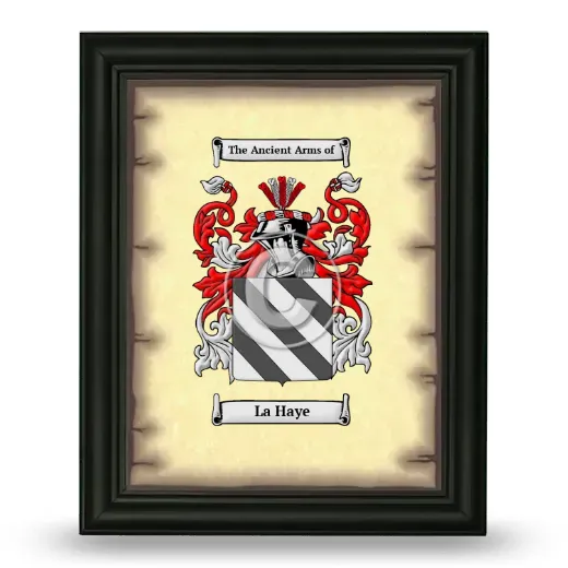 La Haye Coat of Arms Framed - Black