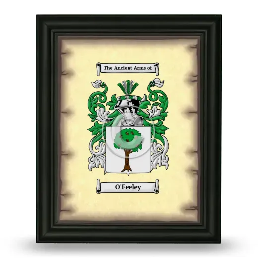 O'Feeley Coat of Arms Framed - Black