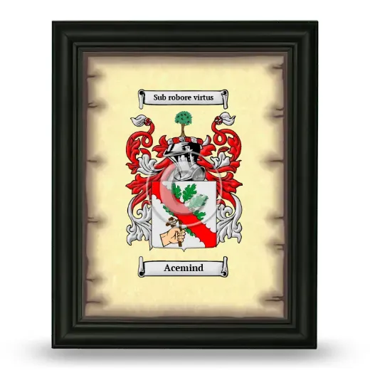 Acemind Coat of Arms Framed - Black