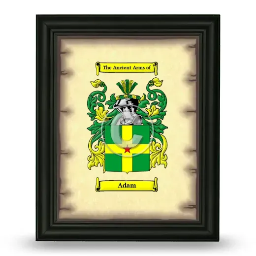 Adam Coat of Arms Framed - Black