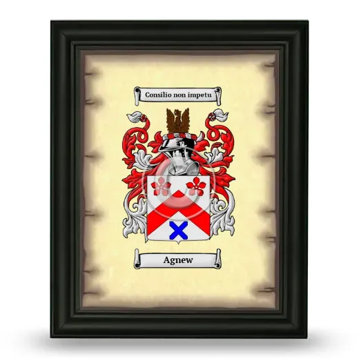 Agnew Coat of Arms Framed - Black
