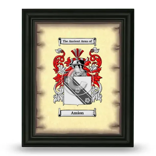 Amion Coat of Arms Framed - Black