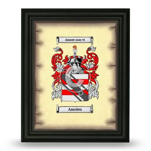 Amrien Coat of Arms Framed - Black