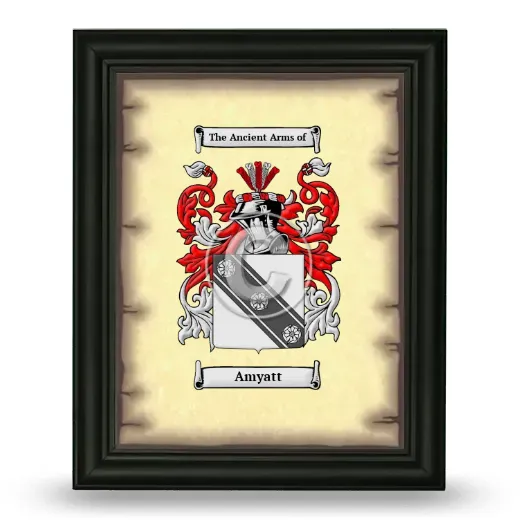 Amyatt Coat of Arms Framed - Black