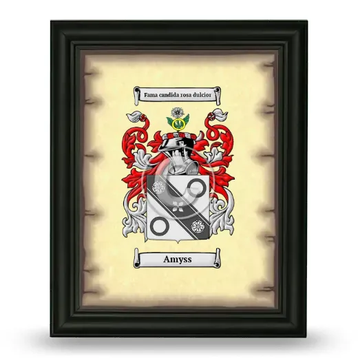 Amyss Coat of Arms Framed - Black