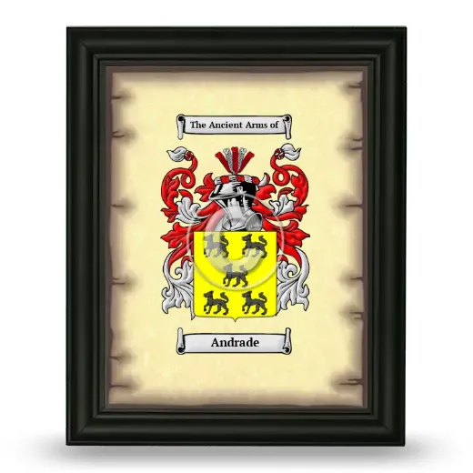 Andrade Coat of Arms Framed - Black