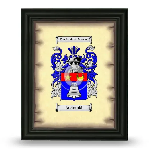 Andrauld Coat of Arms Framed - Black