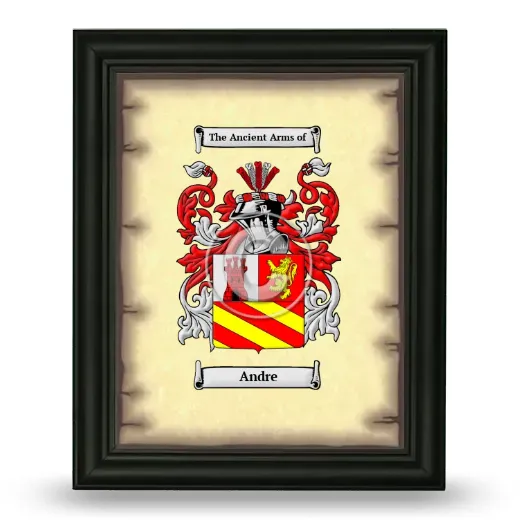 Andre Coat of Arms Framed - Black
