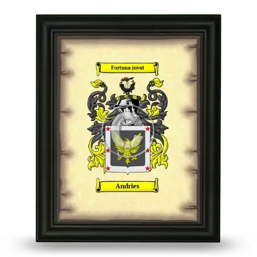 Andries Coat of Arms Framed - Black