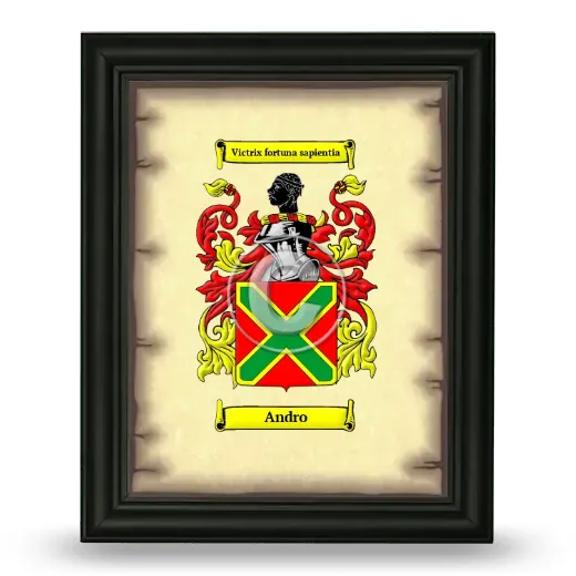 Andro Coat of Arms Framed - Black