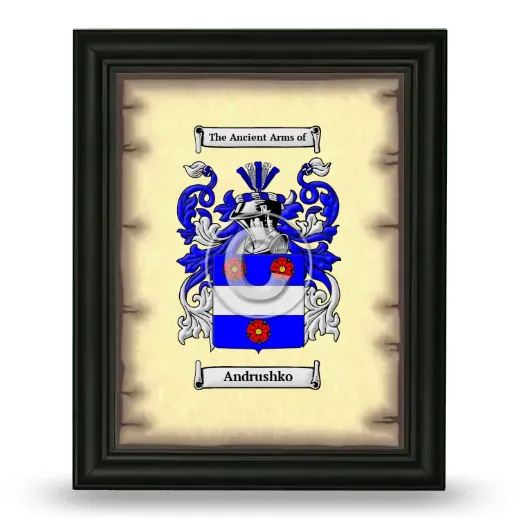 Andrushko Coat of Arms Framed - Black