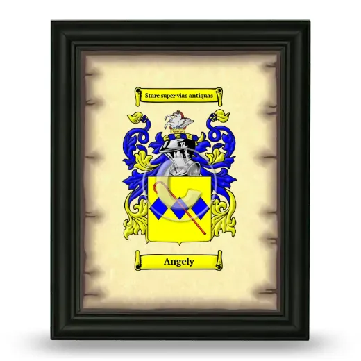 Angely Coat of Arms Framed - Black