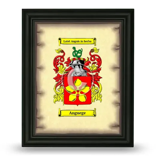 Anguege Coat of Arms Framed - Black