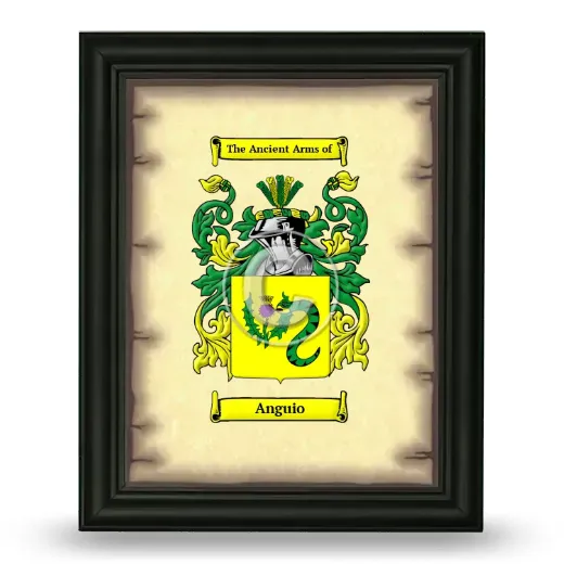 Anguio Coat of Arms Framed - Black