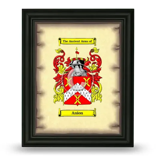 Anion Coat of Arms Framed - Black