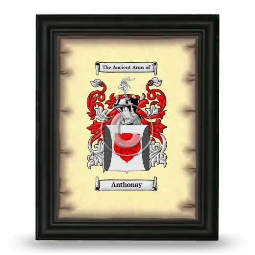 Anthonay Coat of Arms Framed - Black