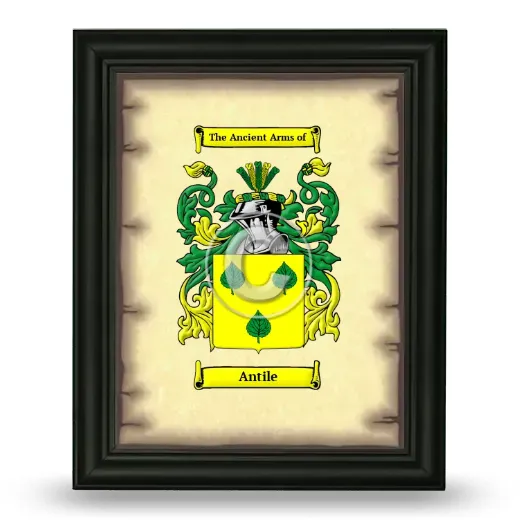 Antile Coat of Arms Framed - Black