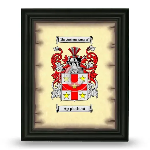 Ap plethent Coat of Arms Framed - Black